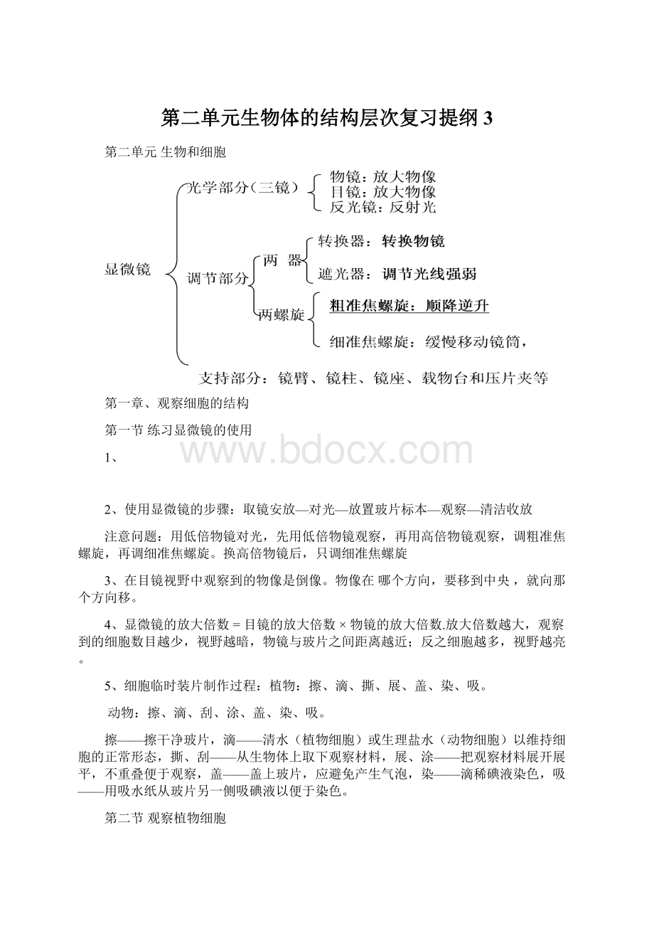 第二单元生物体的结构层次复习提纲3.docx