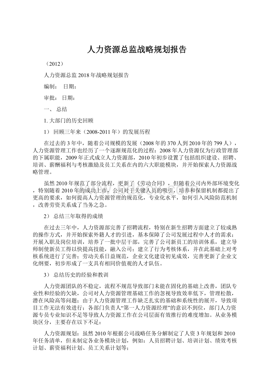 人力资源总监战略规划报告.docx_第1页