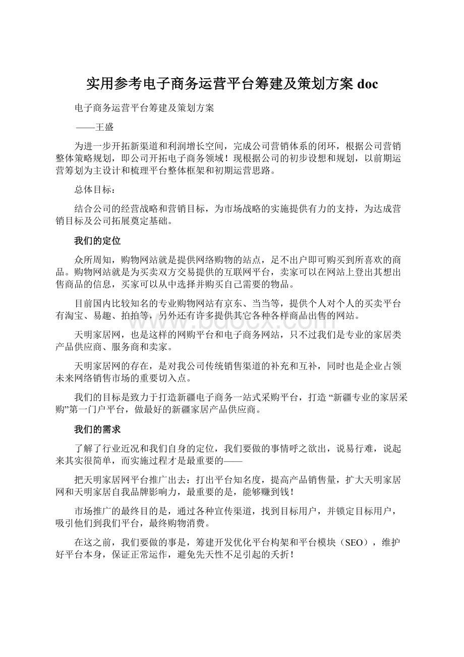 实用参考电子商务运营平台筹建及策划方案doc.docx_第1页