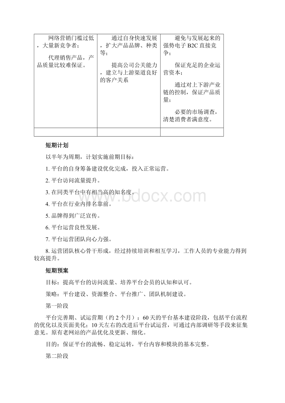 实用参考电子商务运营平台筹建及策划方案doc.docx_第3页