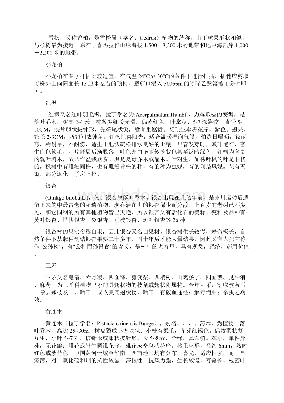 园林绿化常用乔木灌木.docx_第2页