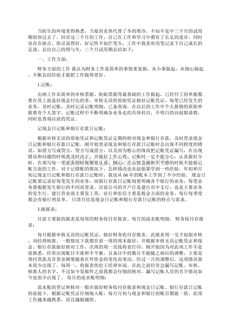 出纳试用期工作总结范文3篇.docx_第2页