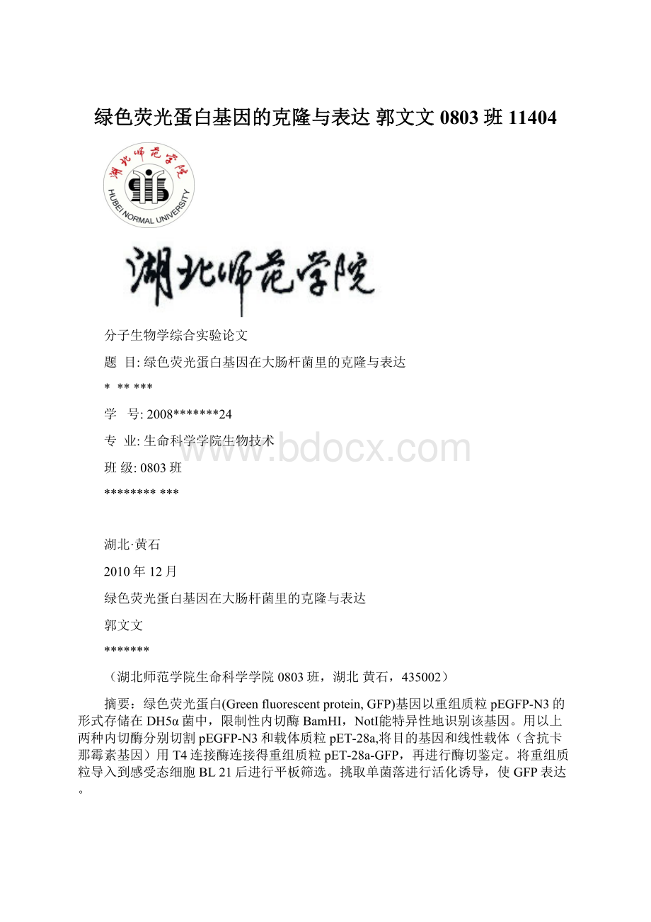 绿色荧光蛋白基因的克隆与表达 郭文文 0803班 11404Word文档下载推荐.docx