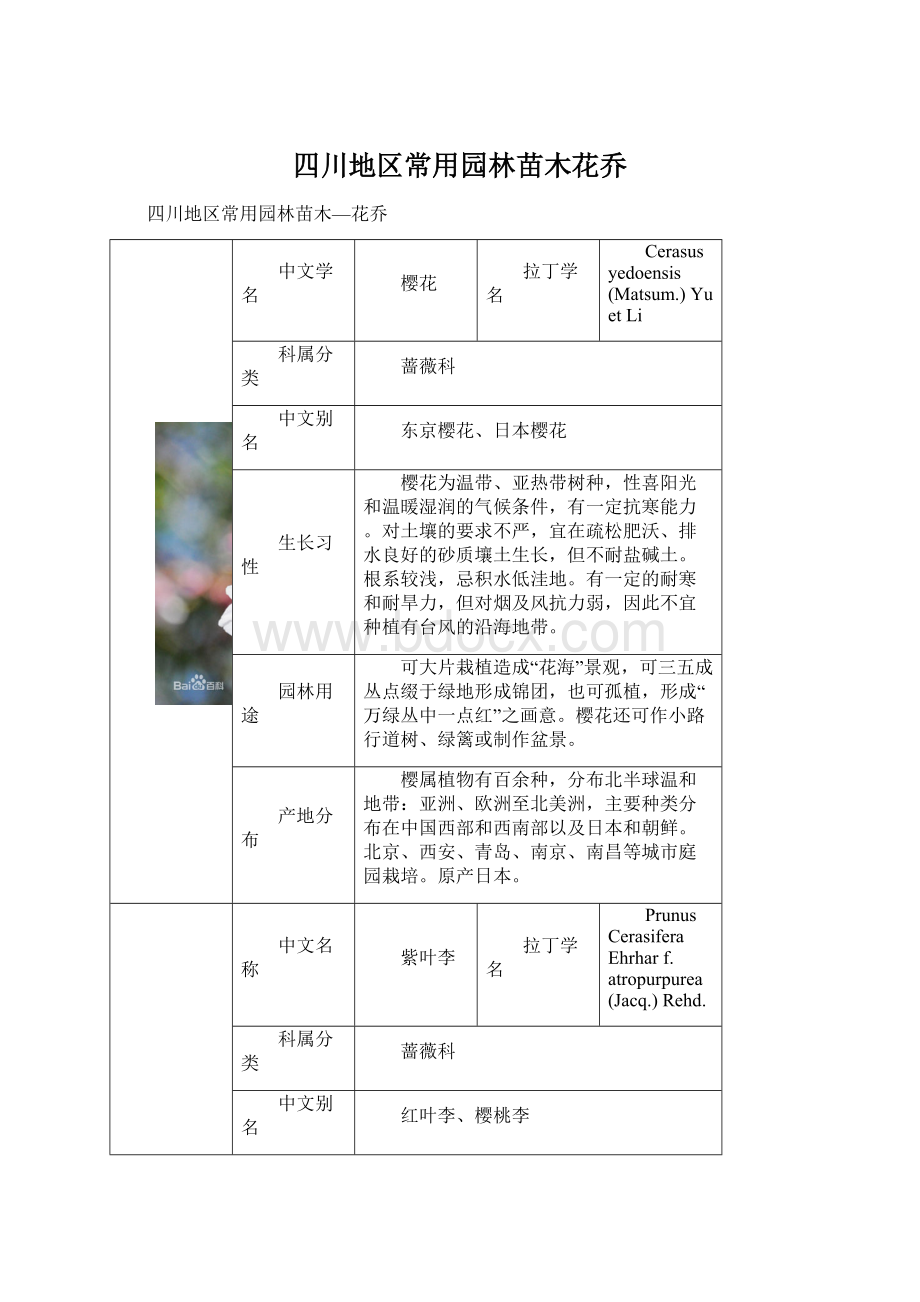 四川地区常用园林苗木花乔.docx_第1页