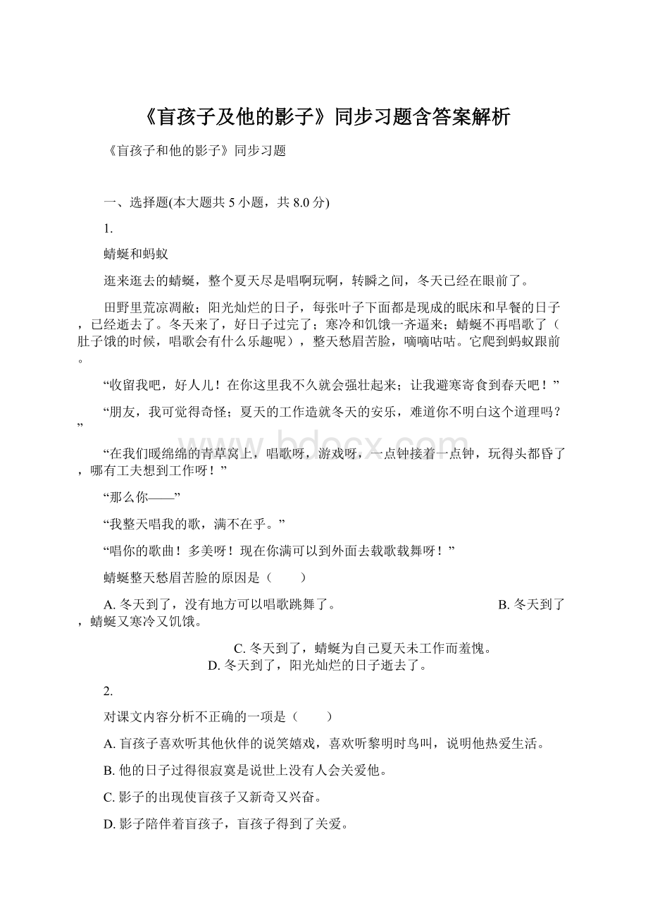 《盲孩子及他的影子》同步习题含答案解析.docx_第1页