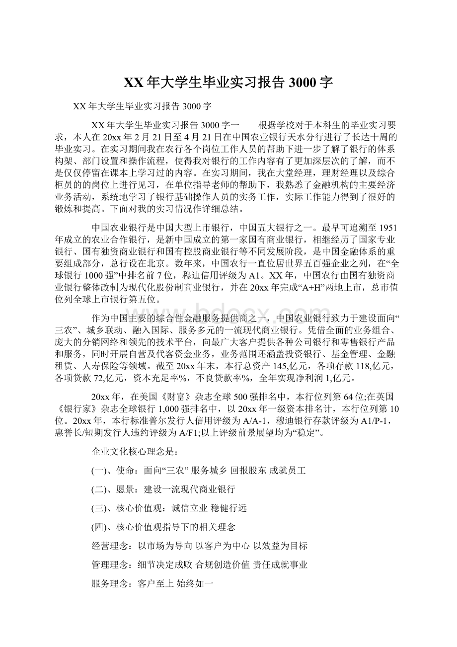 XX年大学生毕业实习报告3000字文档格式.docx