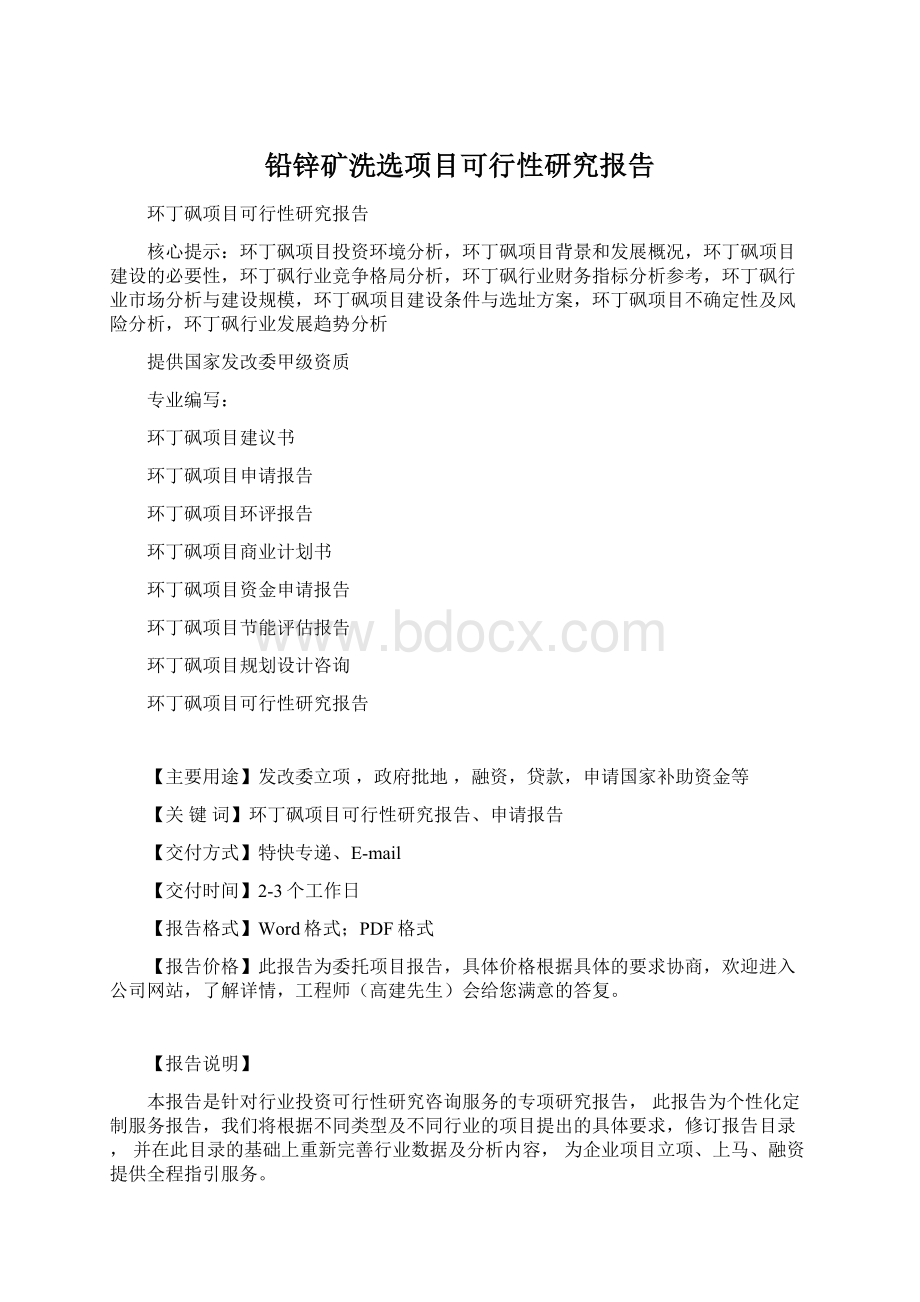 铅锌矿洗选项目可行性研究报告Word格式文档下载.docx