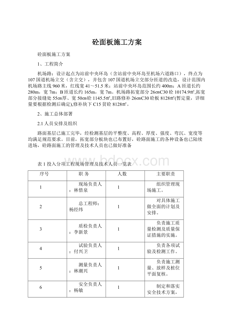 砼面板施工方案文档格式.docx