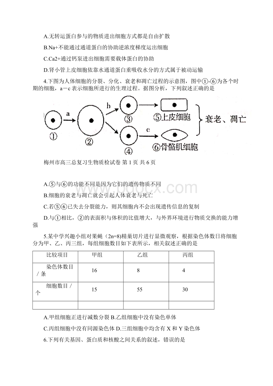 广东省梅州市届高三下学期总复习质检生物试题 Word版含答案.docx_第2页