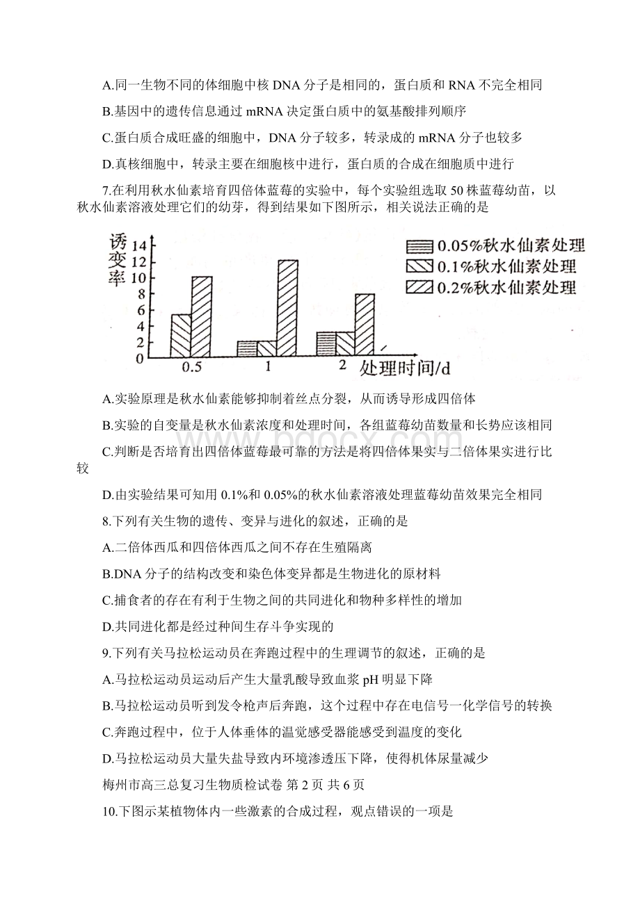 广东省梅州市届高三下学期总复习质检生物试题 Word版含答案.docx_第3页