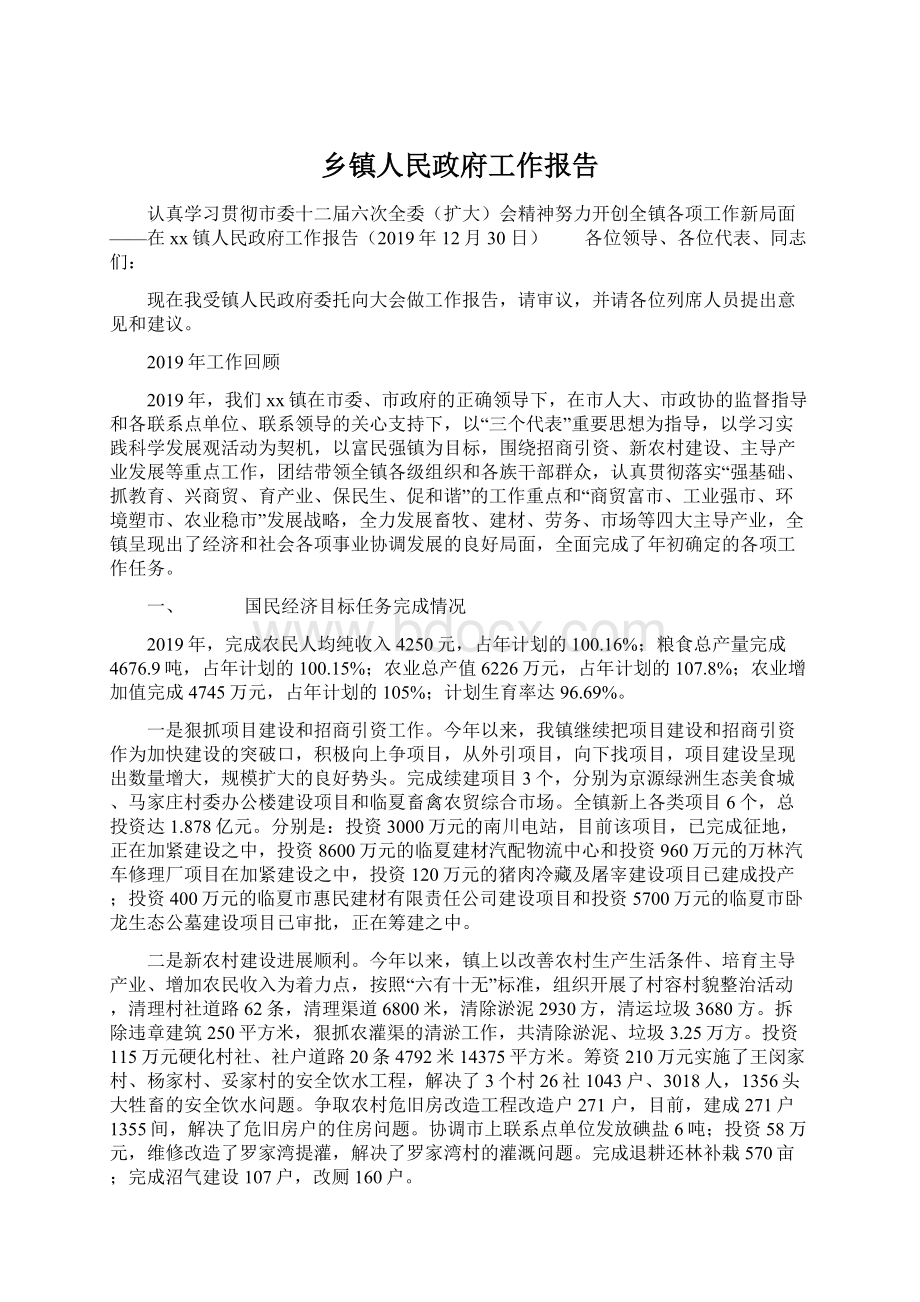 乡镇人民政府工作报告.docx_第1页