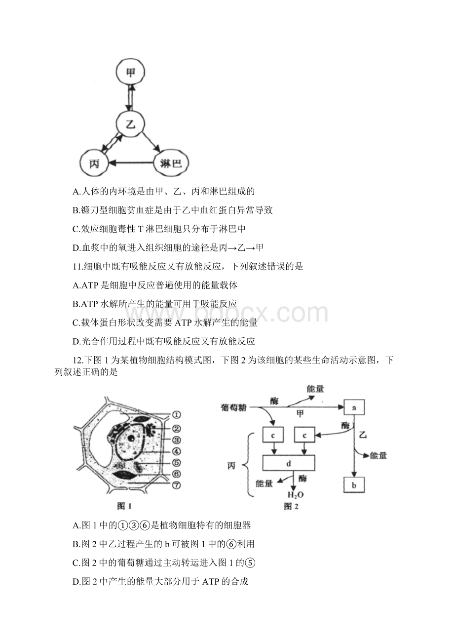 浙江省嘉兴市学年高二生物下学期期末考试试题无答案.docx_第3页