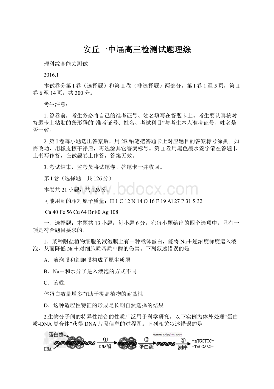 安丘一中届高三检测试题理综Word格式文档下载.docx