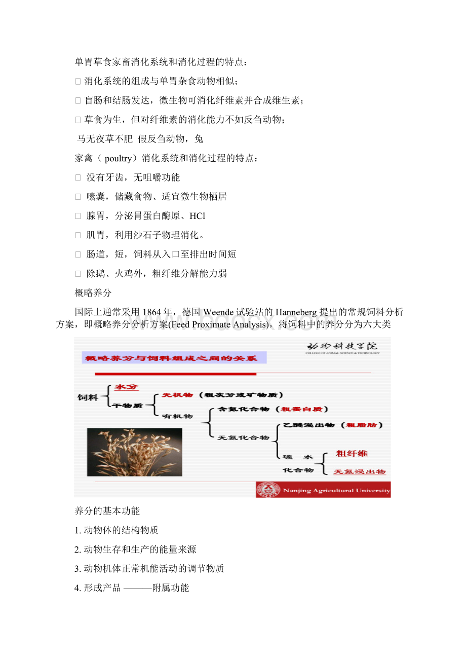 南农畜牧学通论复习资料汇编文档格式.docx_第3页