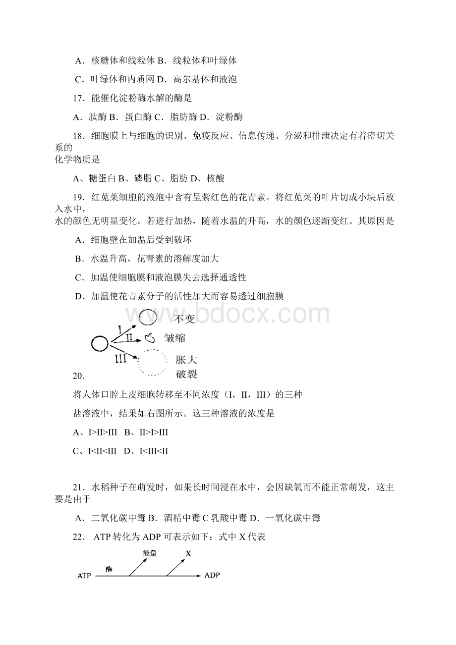 524高一生物第一学期期末检测Word文件下载.docx_第3页