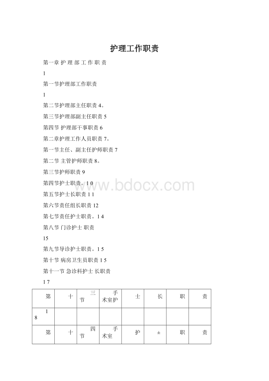 护理工作职责Word文档格式.docx