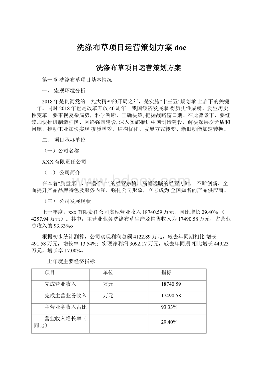 洗涤布草项目运营策划方案doc.docx_第1页