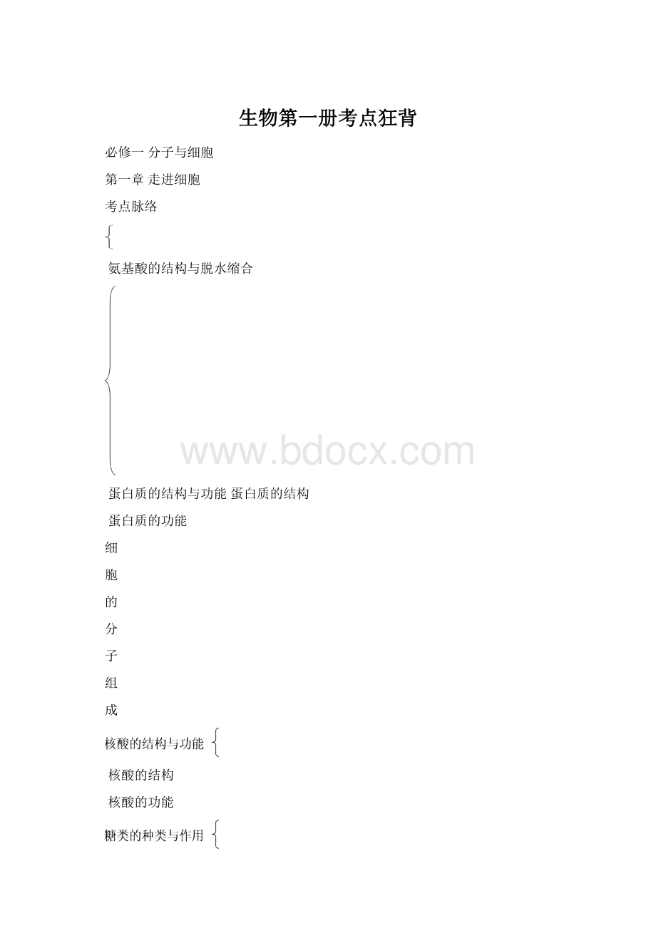 生物第一册考点狂背Word文件下载.docx