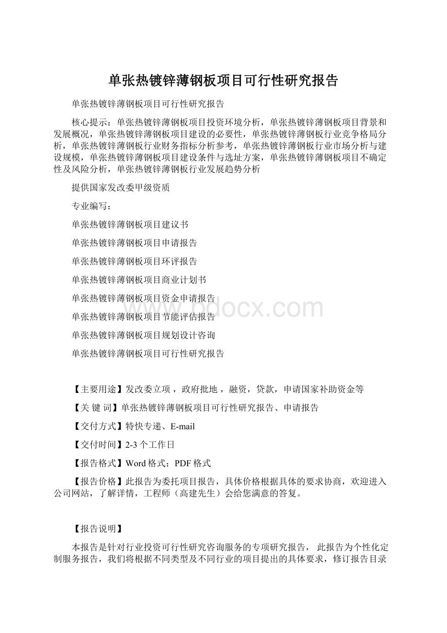 单张热镀锌薄钢板项目可行性研究报告Word文档格式.docx