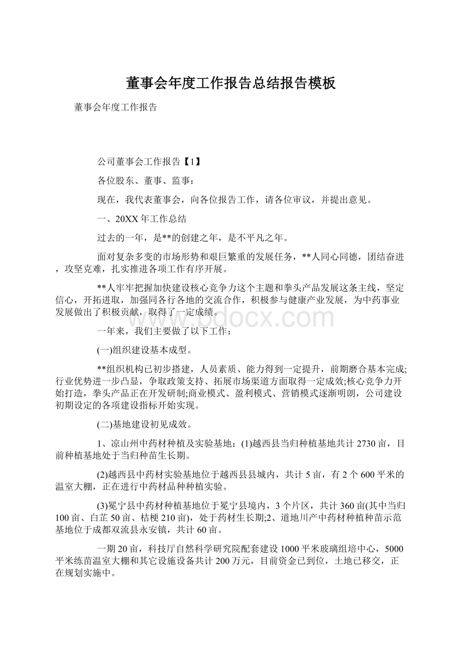 董事会年度工作报告总结报告模板Word格式文档下载.docx