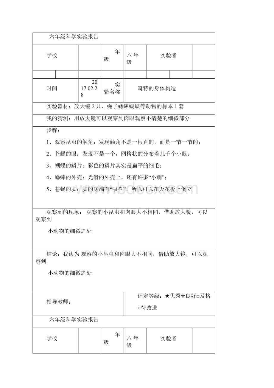 教科版六年级科学下册实验报告汇总Word文件下载.docx_第3页