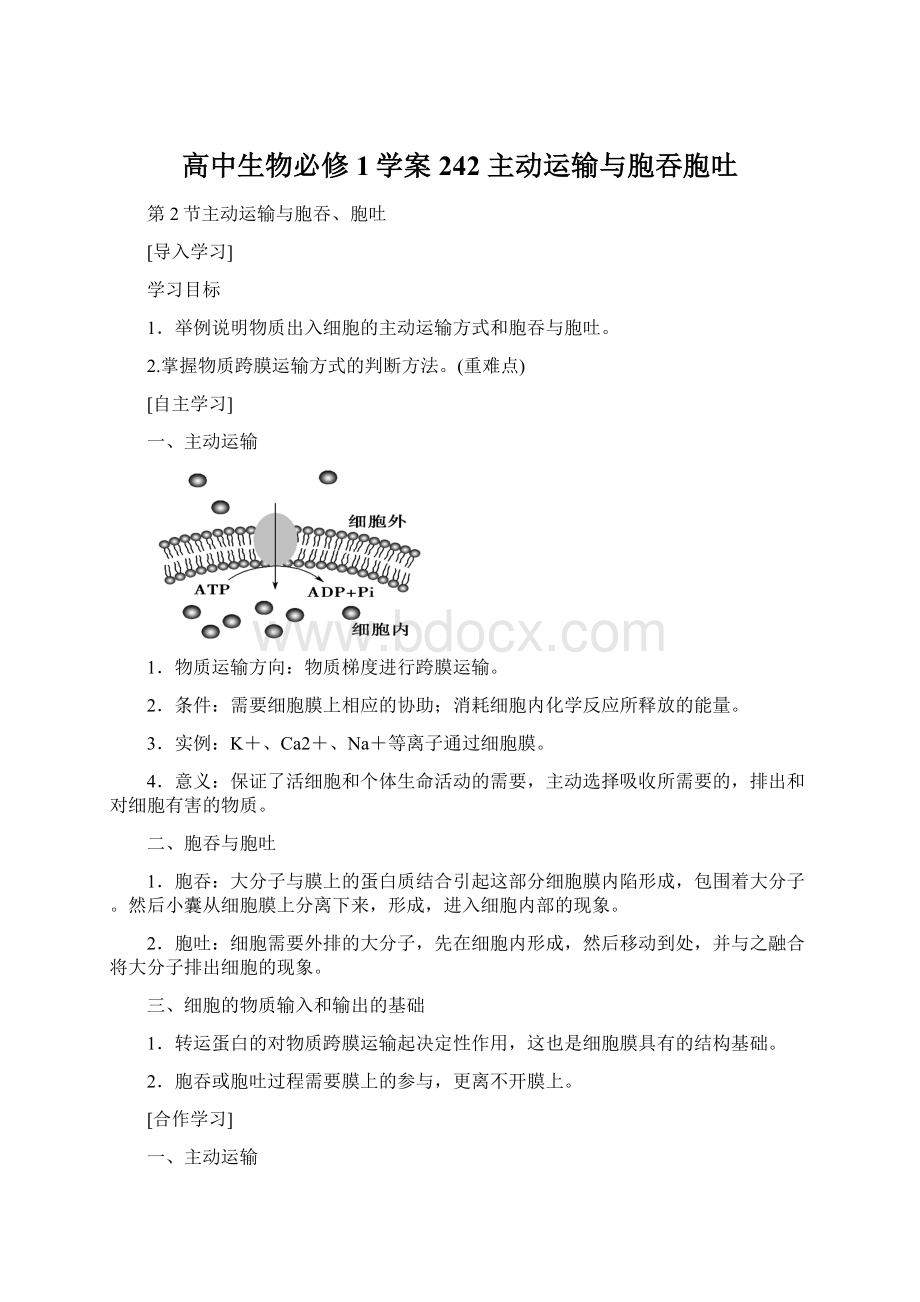 高中生物必修1学案242 主动运输与胞吞胞吐文档格式.docx_第1页