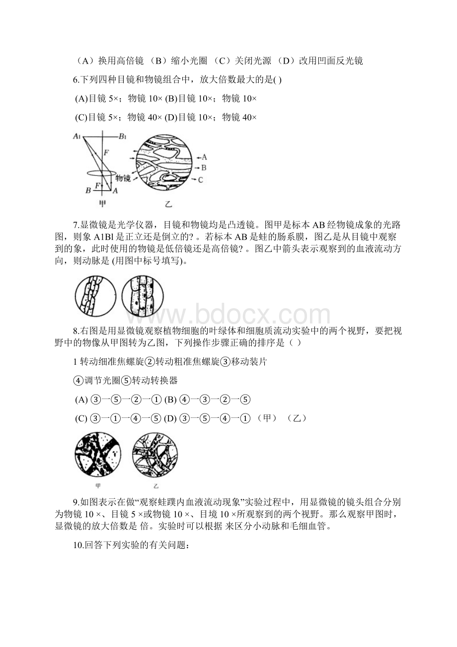 第9813号初中生物综合训练.docx_第2页