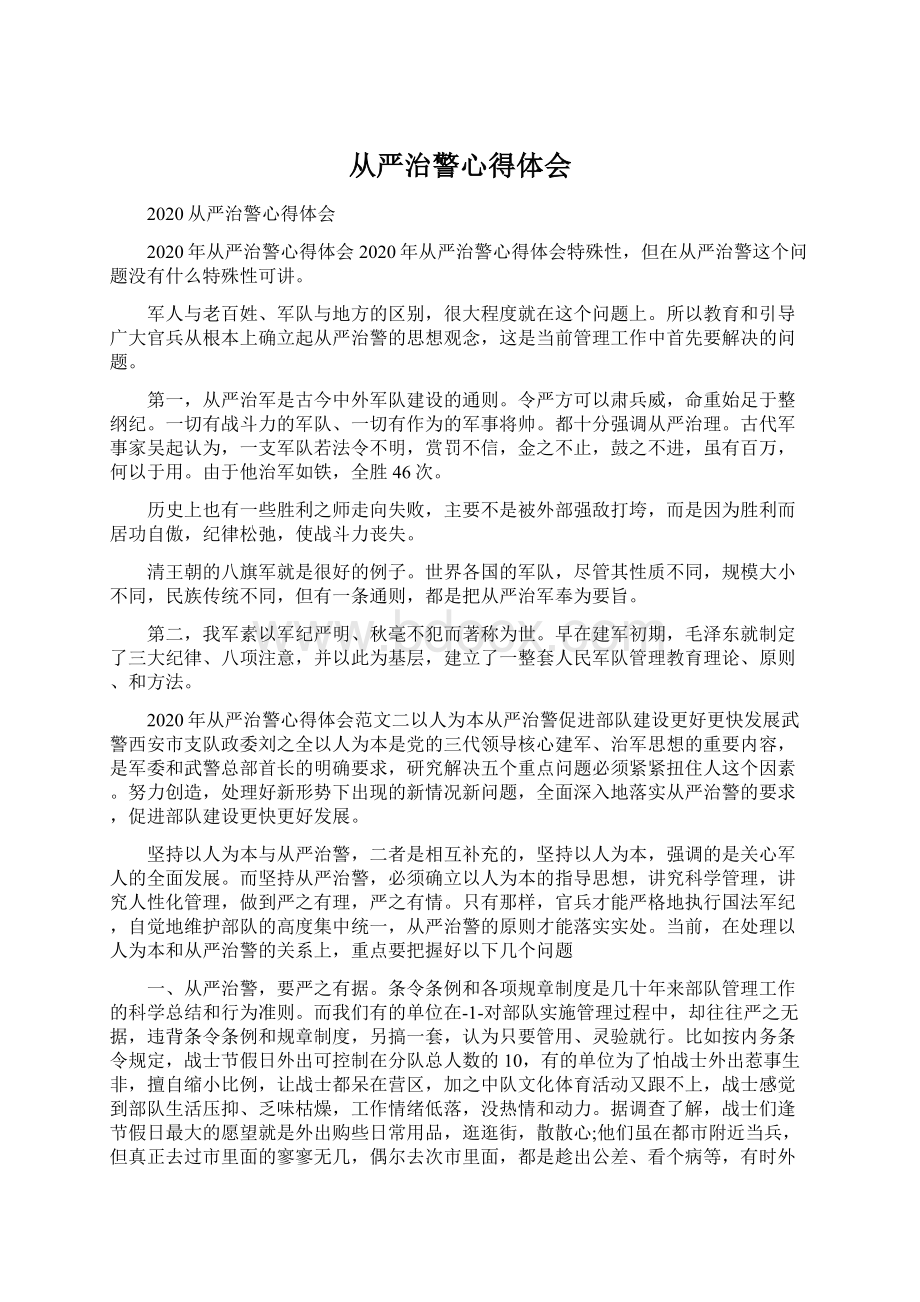 从严治警心得体会文档格式.docx