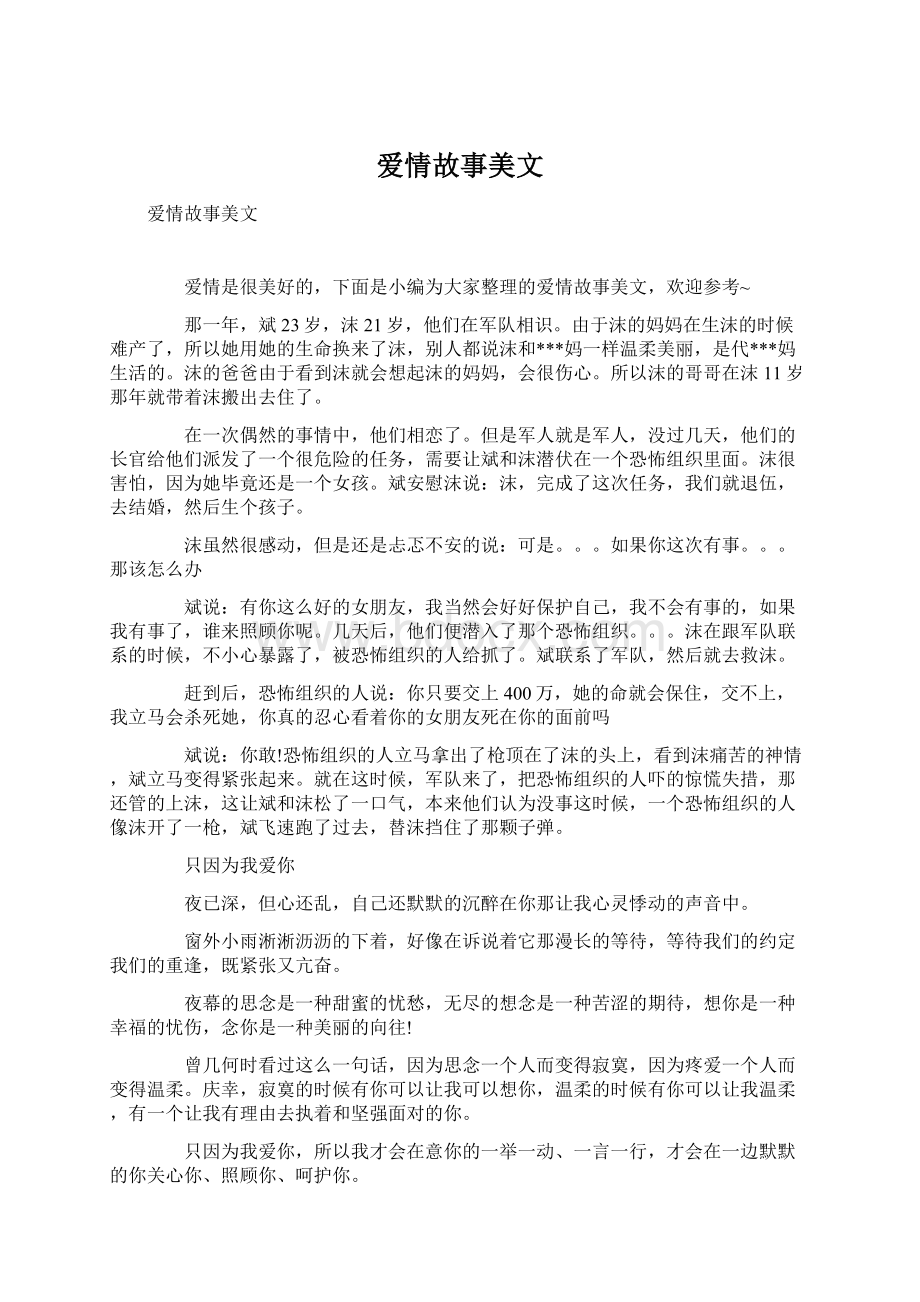 爱情故事美文.docx