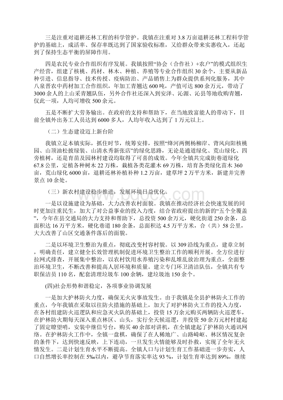 张店镇工作总结定.docx_第2页