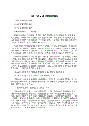 初中语文课外阅读策略.docx