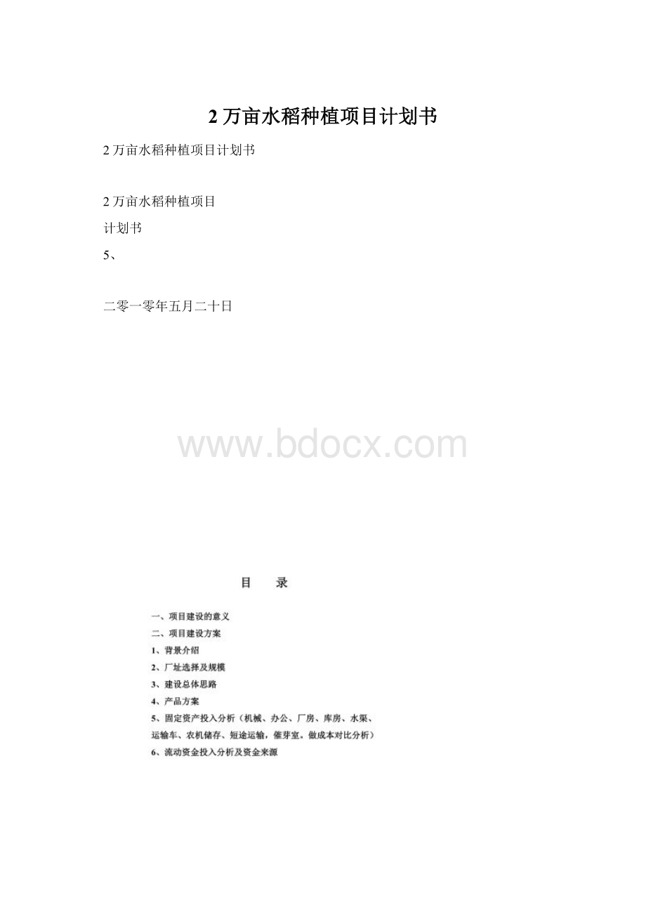 2万亩水稻种植项目计划书.docx