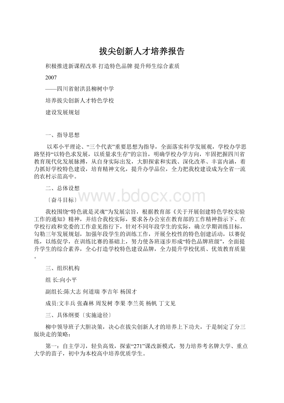 拔尖创新人才培养报告.docx_第1页