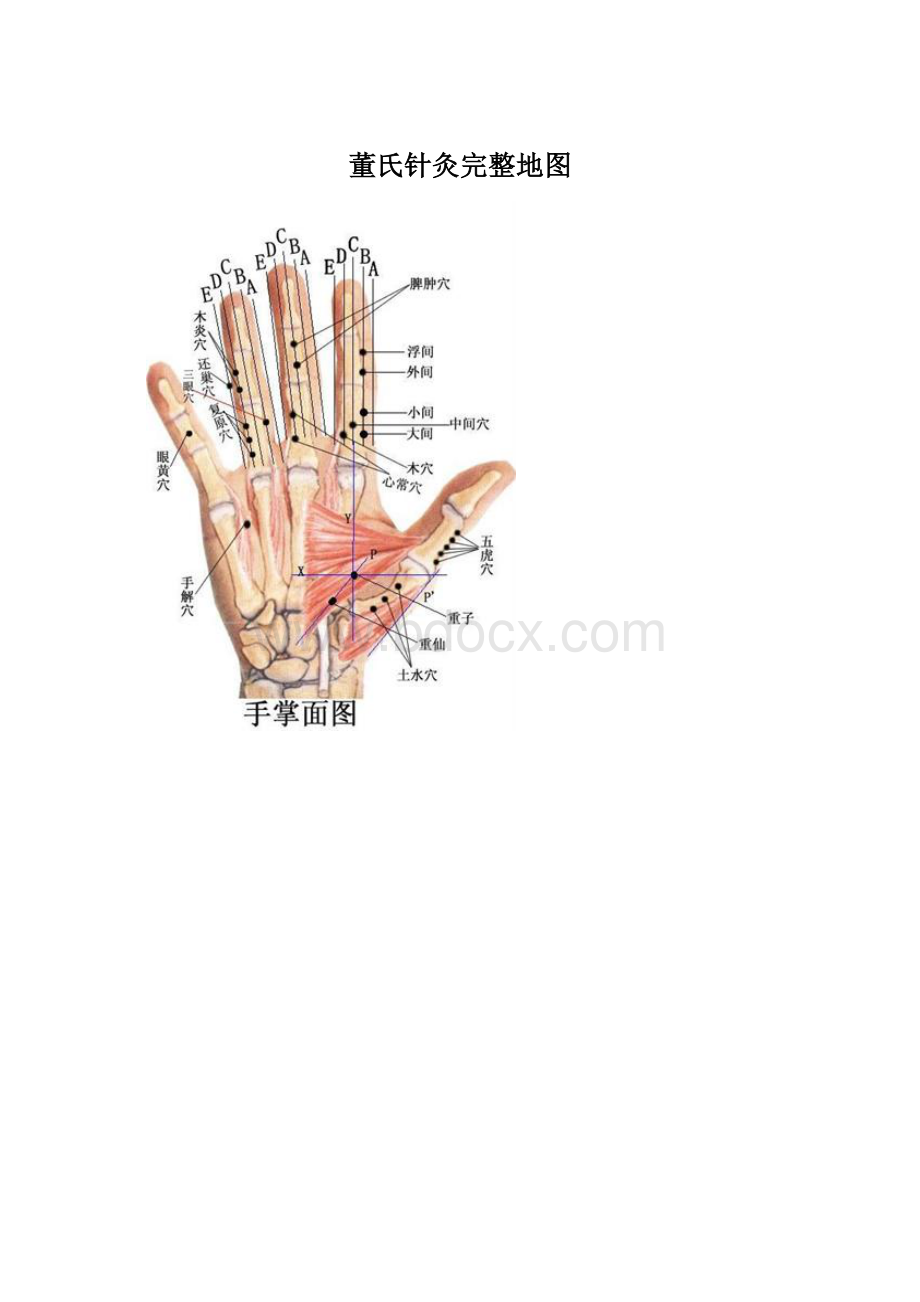 董氏针灸完整地图.docx_第1页