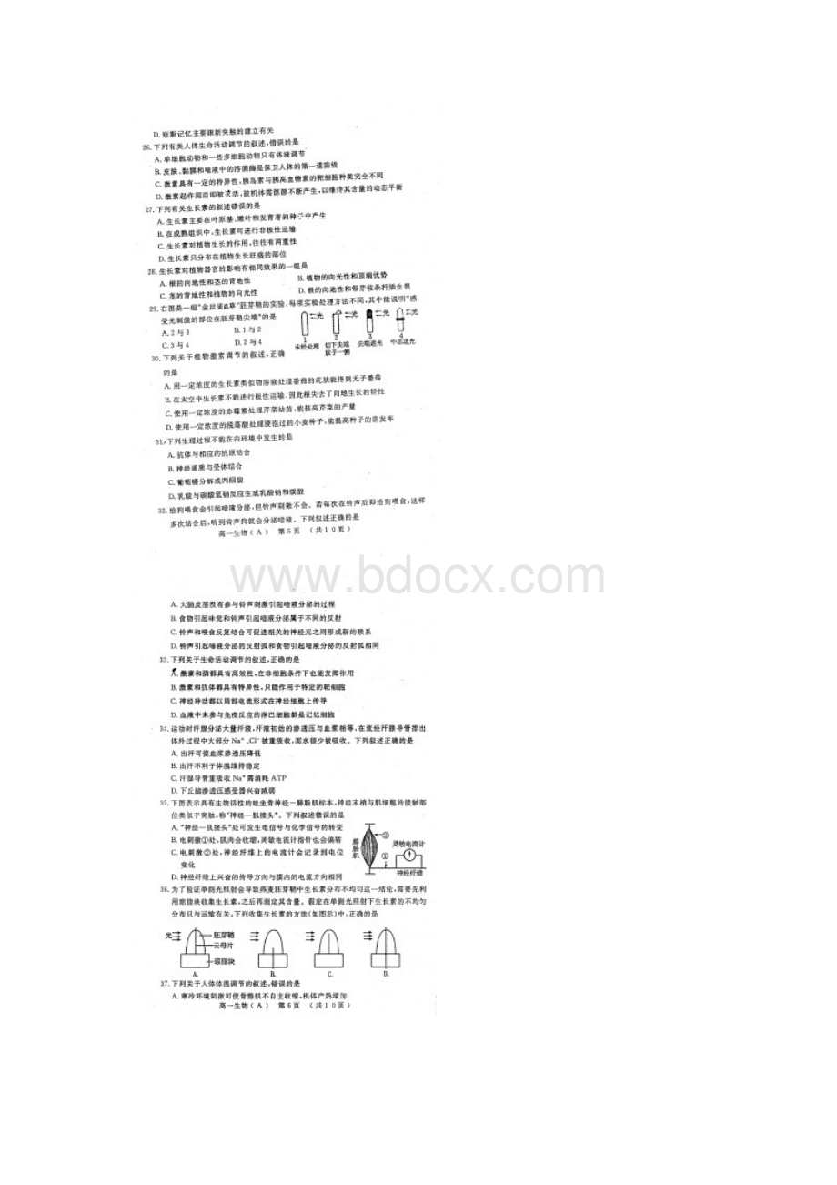 洛阳市学年高一第二学期中生物.docx_第3页