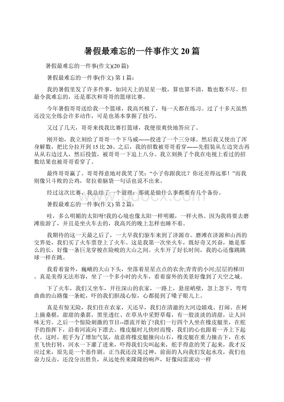 暑假最难忘的一件事作文20篇.docx