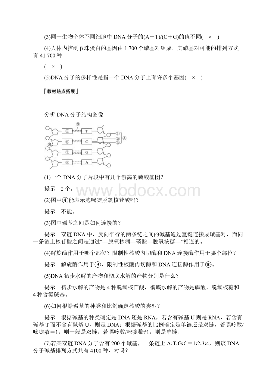 届高三一轮复习备考生物一体资料讲义第六单元+遗传的分子基础+第18讲+Word版含答案.docx_第3页