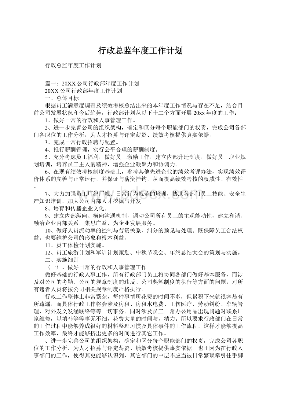 行政总监年度工作计划Word格式文档下载.docx