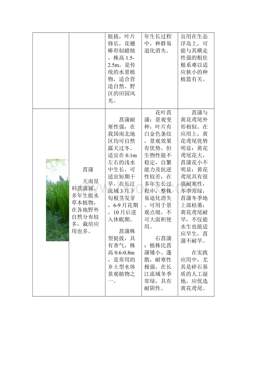 常用水生植物种类总结Word格式.docx_第2页