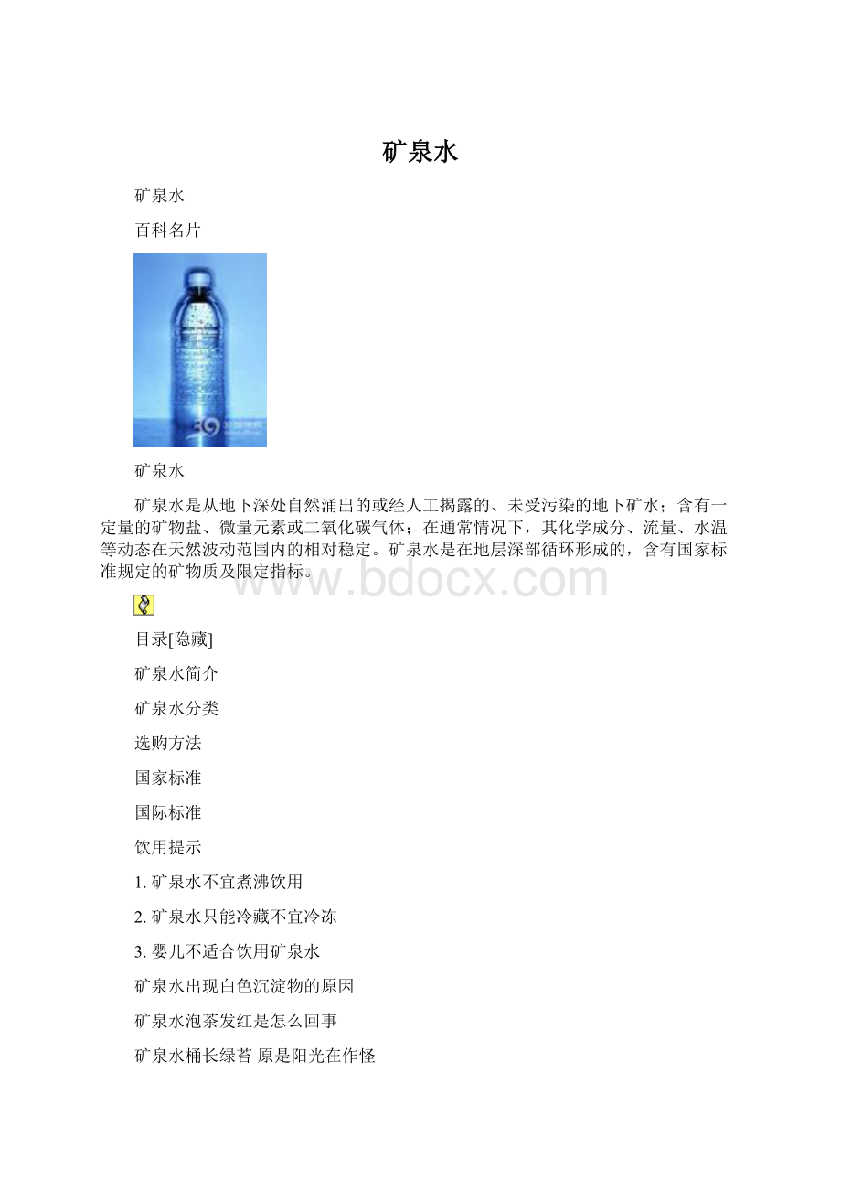 矿泉水文档格式.docx