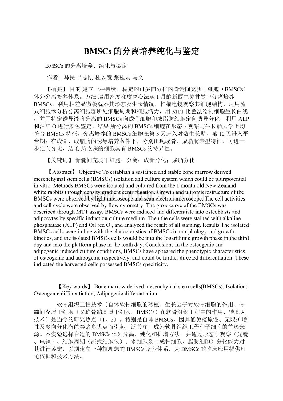 BMSCs的分离培养纯化与鉴定Word文件下载.docx