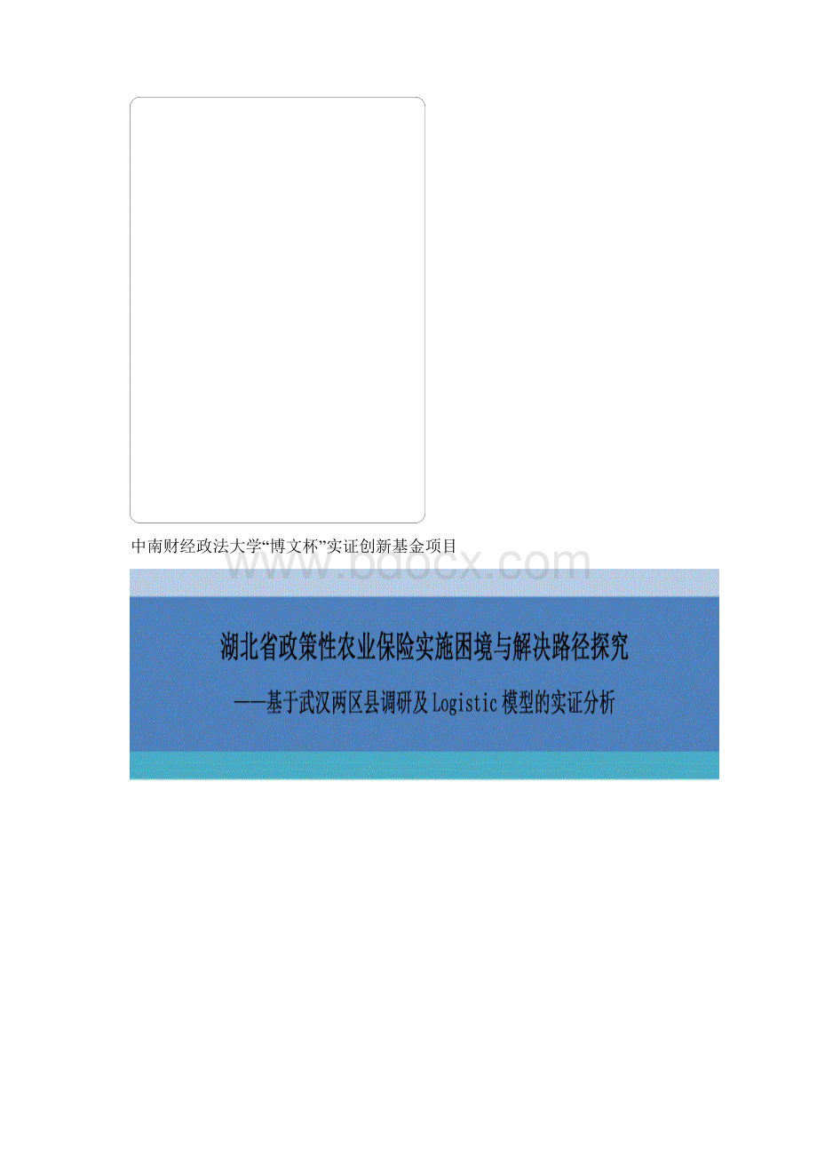 博文杯申报书政策性农业保险实施困境与解决路径探究基于武汉两区县调研及Logistic模型的实证分析DO.docx_第2页