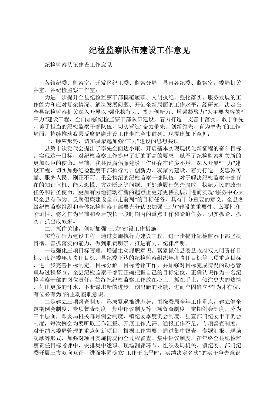 纪检监察队伍建设工作意见.docx