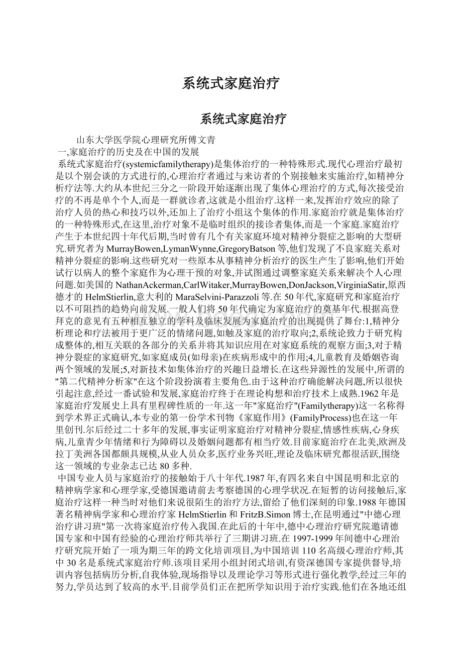 系统式家庭治疗Word下载.docx