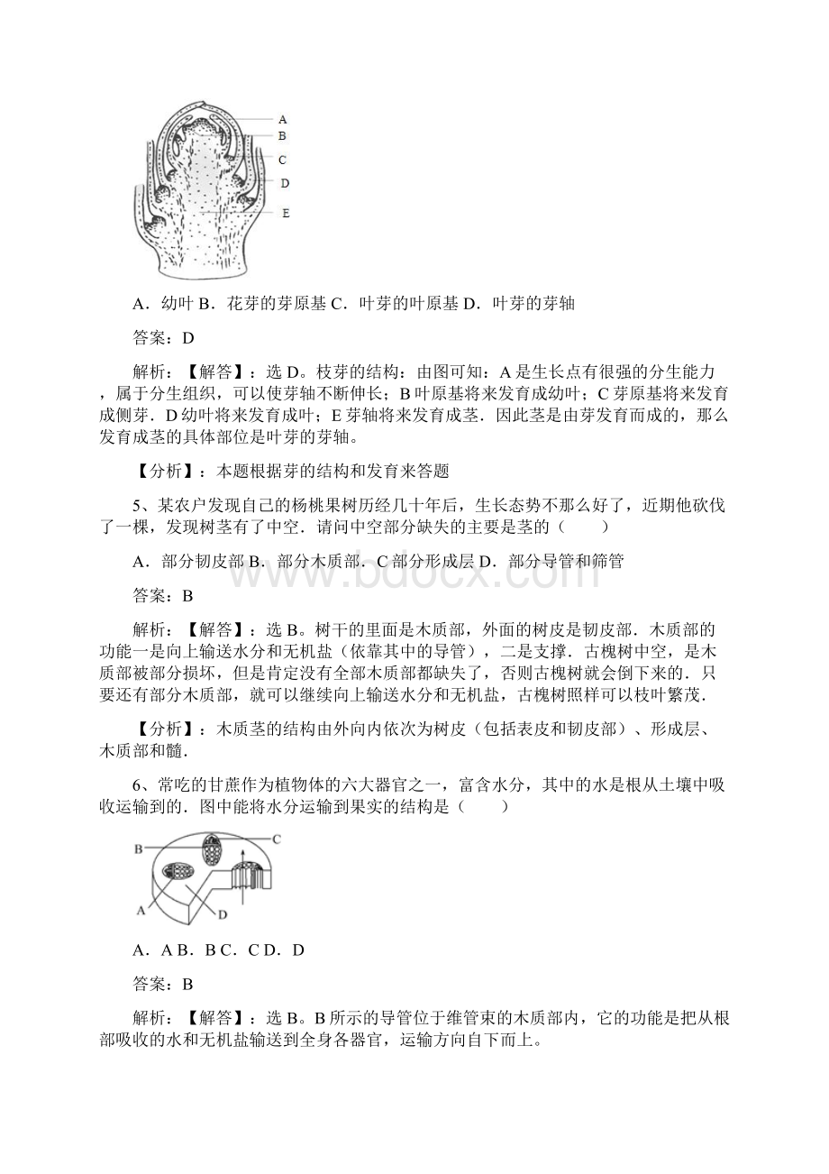 七年级生物上册第三单元第五章第四节植物茎的输导功能同步练习新版苏教版.docx_第2页