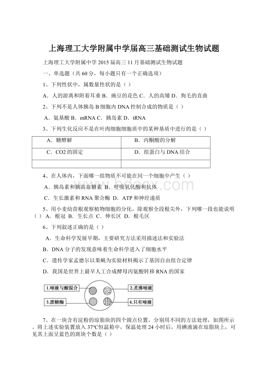 上海理工大学附属中学届高三基础测试生物试题.docx