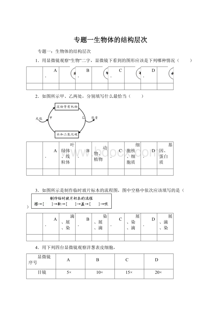 专题一生物体的结构层次.docx_第1页