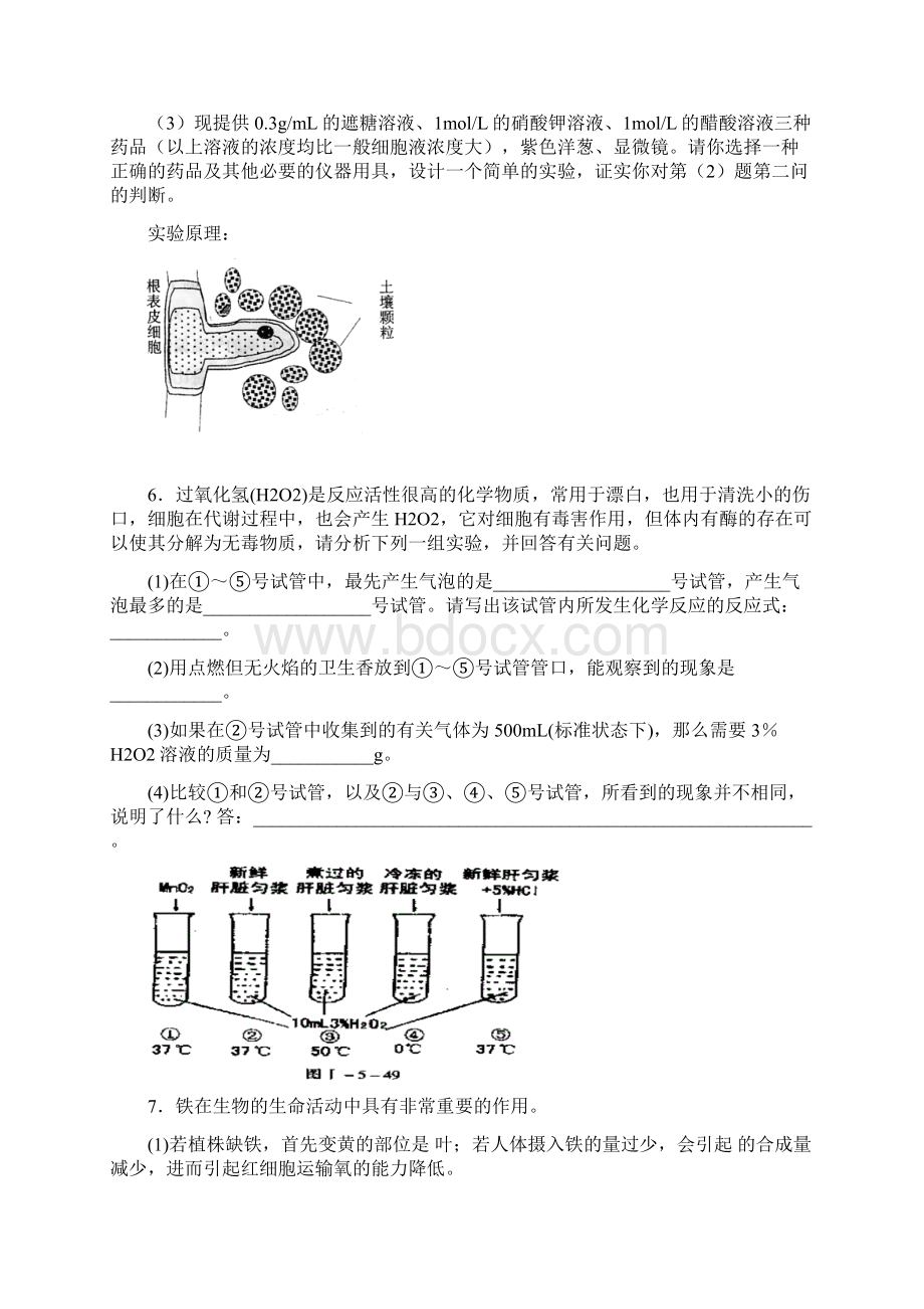 高三生物实验专题训练上.docx_第3页