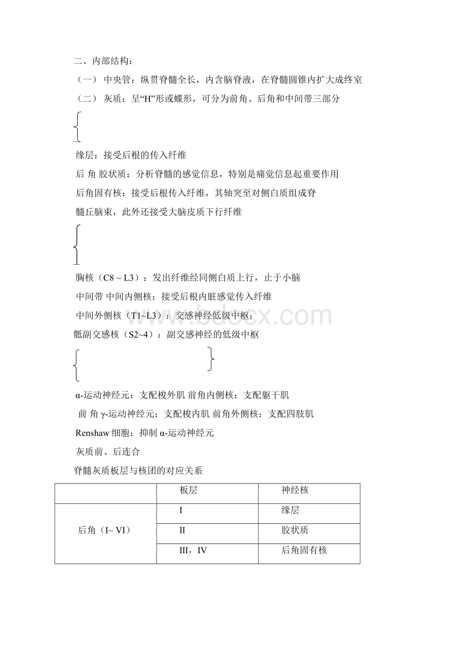 整理第十七章中枢神经系统.docx_第3页