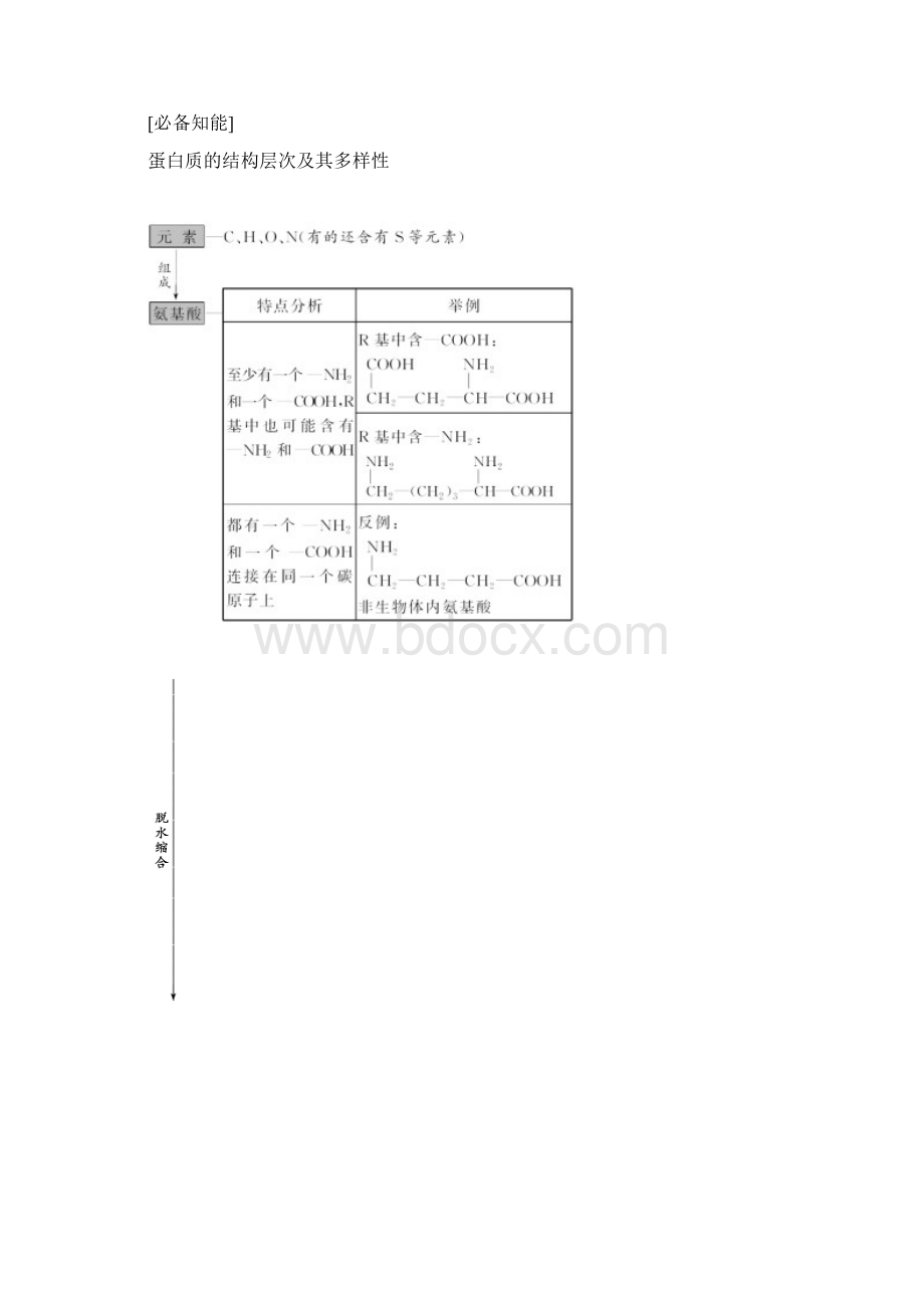 生命活动的主要承担者蛋白质.docx_第3页